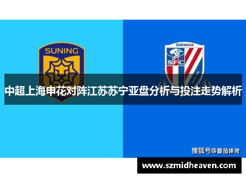 中超上海申花对阵江苏苏宁亚盘分析与投注走势解析