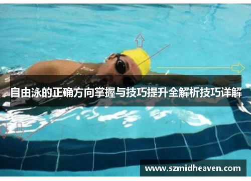 自由泳的正确方向掌握与技巧提升全解析技巧详解