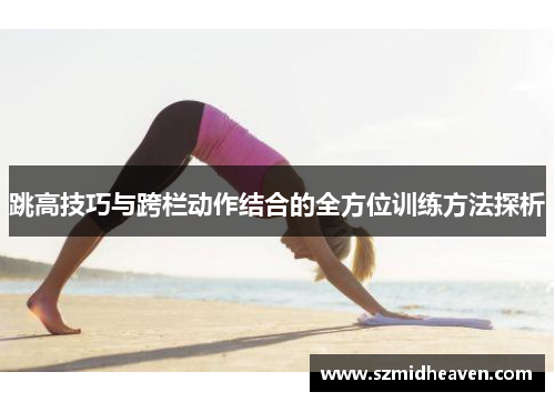 跳高技巧与跨栏动作结合的全方位训练方法探析
